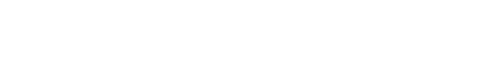 NetClean logo White